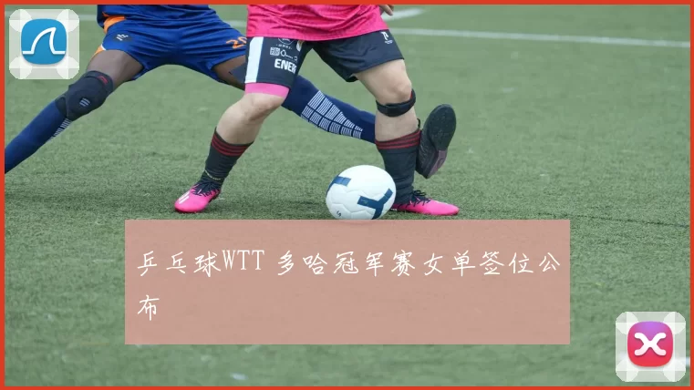 乒乓球WTT 多哈冠军赛女单签位公布