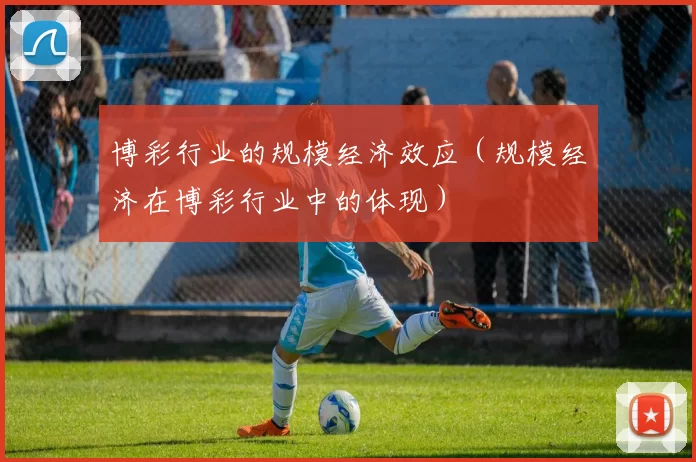 博彩行业的规模经济效应（规模经济在博彩行业中的体现）