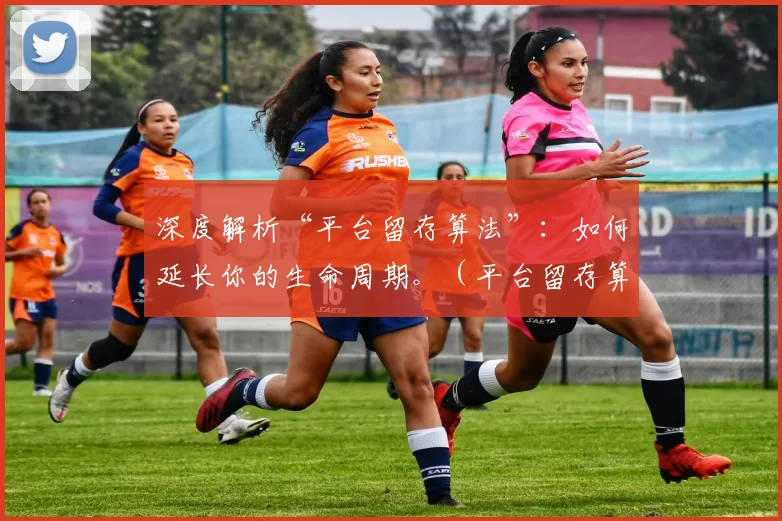 深度解析“平台留存算法”：如何延长你的生命周期。（平台留存算法全揭秘：助你延长生命周期）