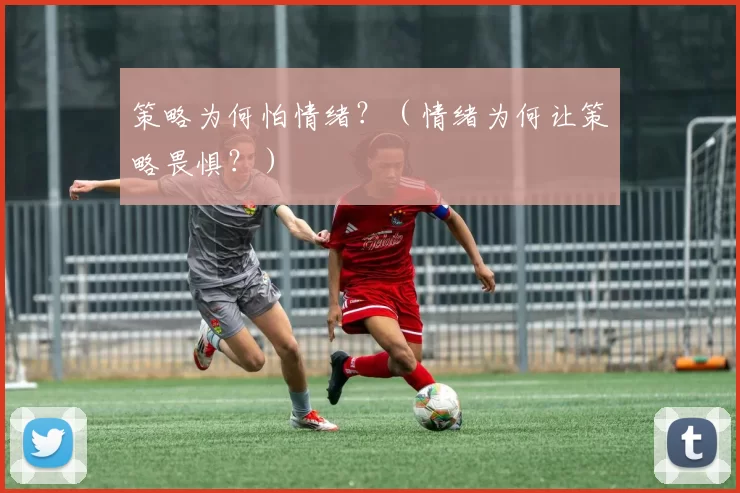 策略为何怕情绪？（情绪为何让策略畏惧？）