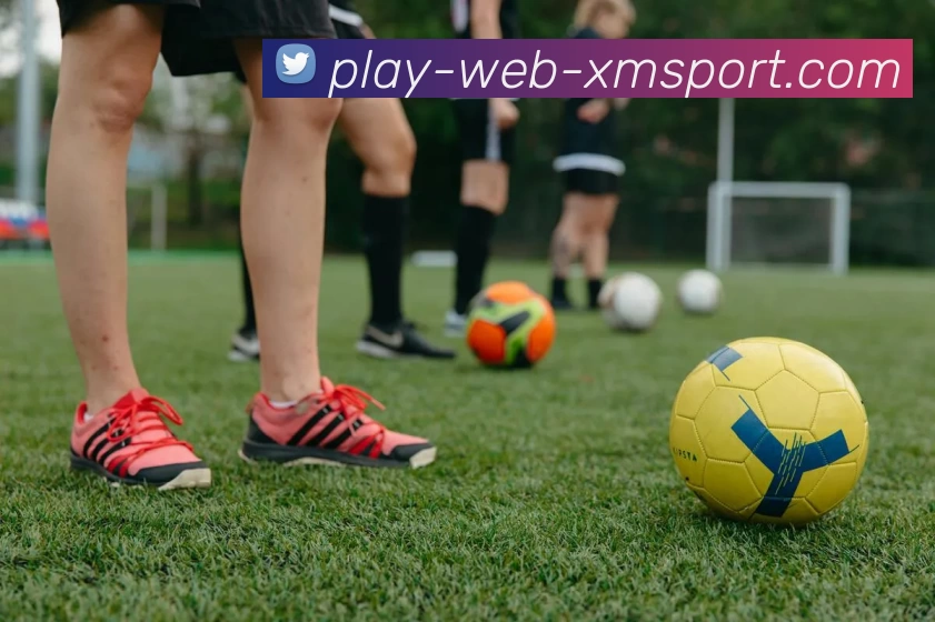 熊猫体育平台生态图